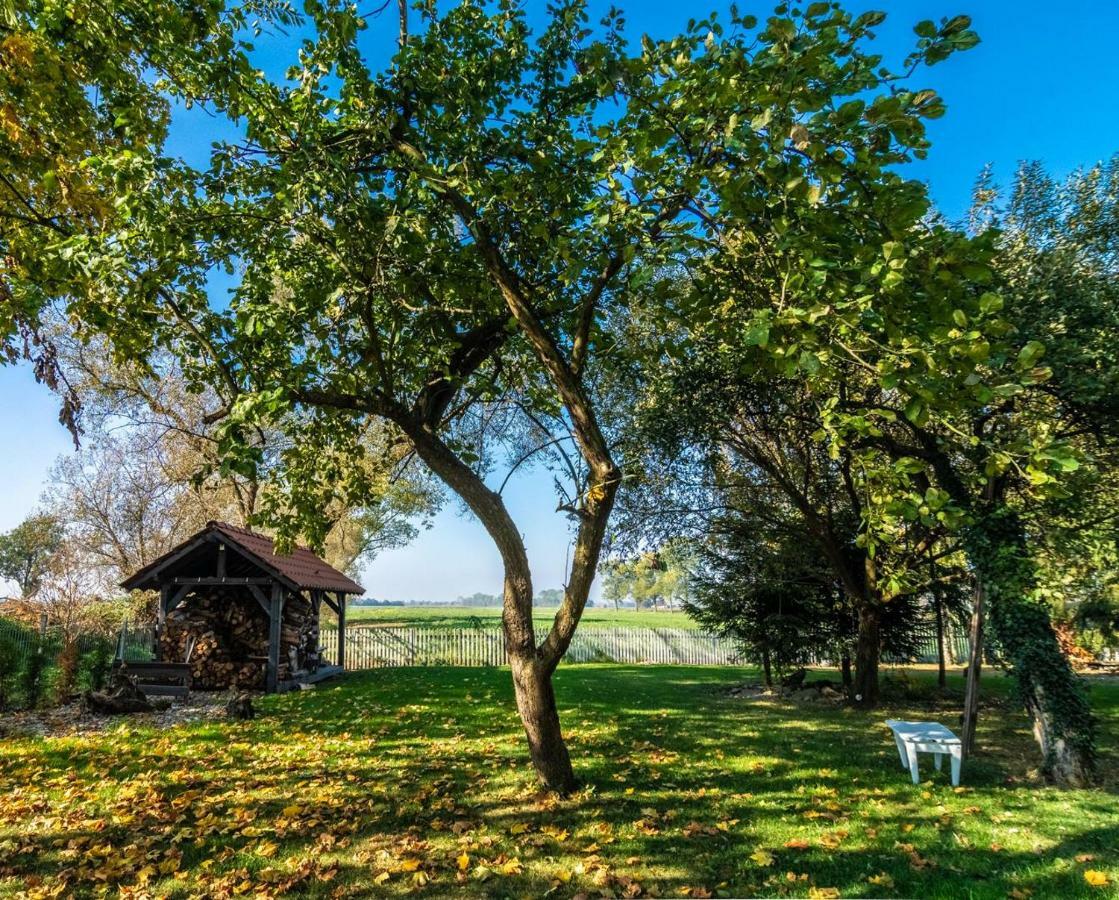 Casa Mia Xix-W Nadmorski Dom Z Ogrodem Cedry Małe エクステリア 写真