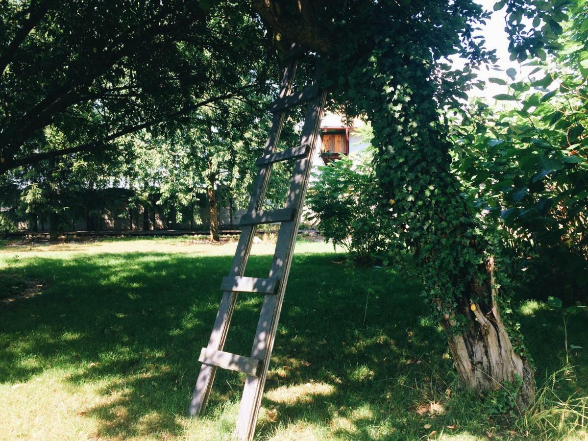 Casa Mia Xix-W Nadmorski Dom Z Ogrodem Cedry Małe エクステリア 写真